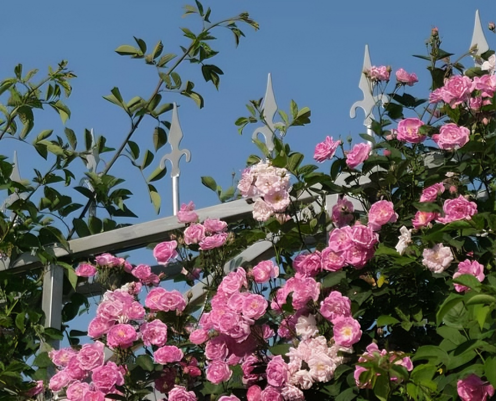 0de2626b7f738f4a0a750e1ee076cb9